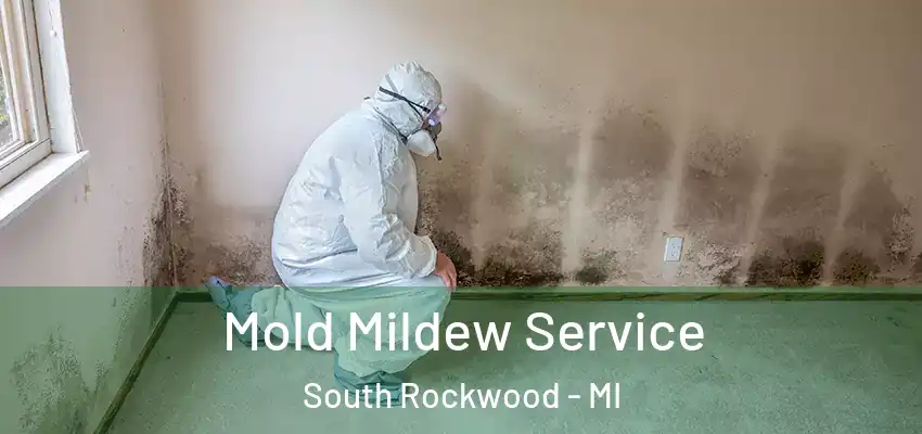  Mold Mildew Service South Rockwood - MI