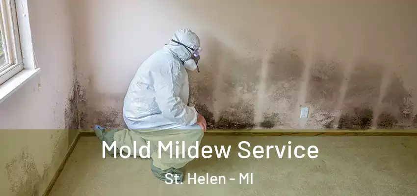  Mold Mildew Service St. Helen - MI