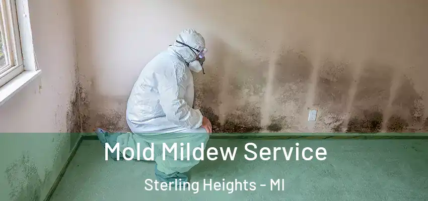  Mold Mildew Service Sterling Heights - MI