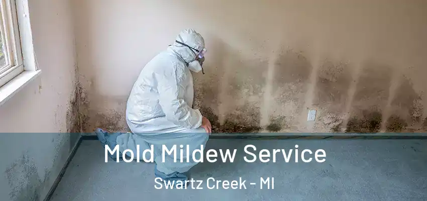  Mold Mildew Service Swartz Creek - MI