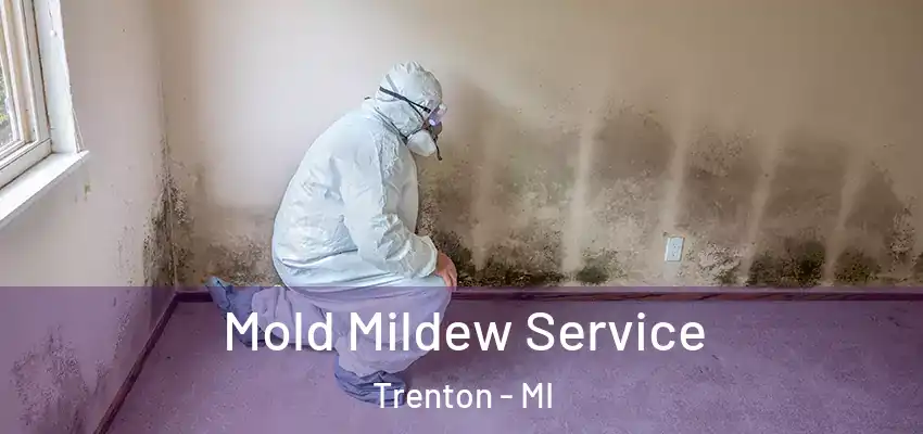  Mold Mildew Service Trenton - MI