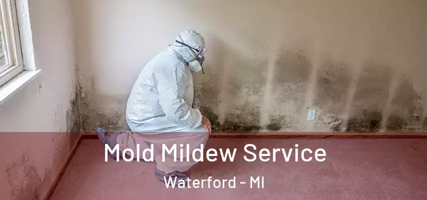 Mold Mildew Service Waterford - MI