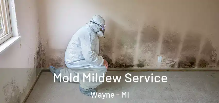  Mold Mildew Service Wayne - MI