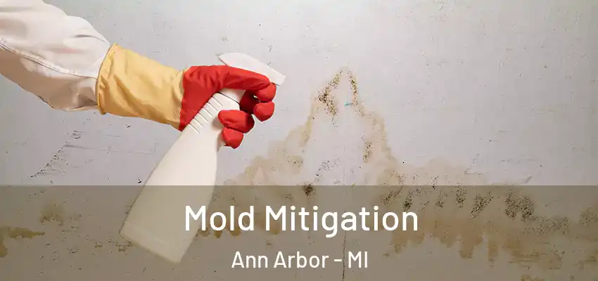  Mold Mitigation Ann Arbor - MI