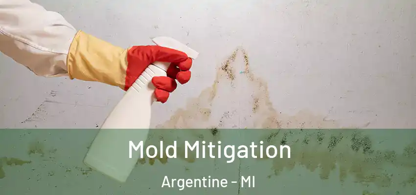  Mold Mitigation Argentine - MI