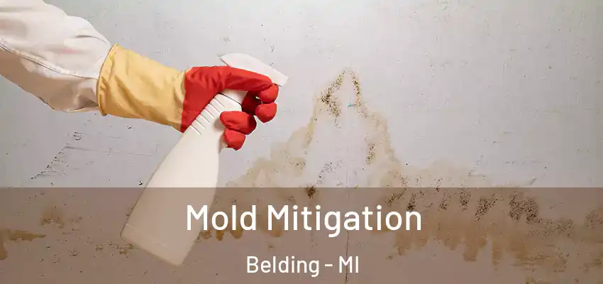  Mold Mitigation Belding - MI