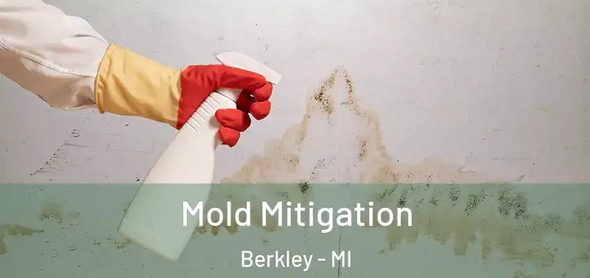  Mold Mitigation Berkley - MI