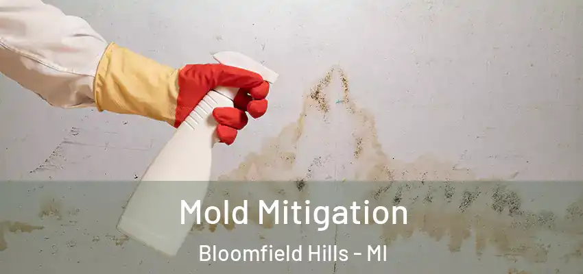  Mold Mitigation Bloomfield Hills - MI