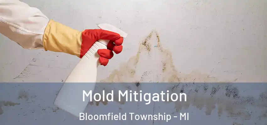  Mold Mitigation Bloomfield Township - MI