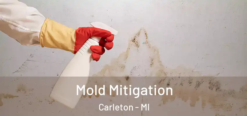  Mold Mitigation Carleton - MI