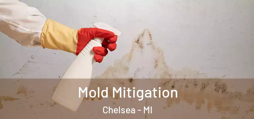  Mold Mitigation Chelsea - MI