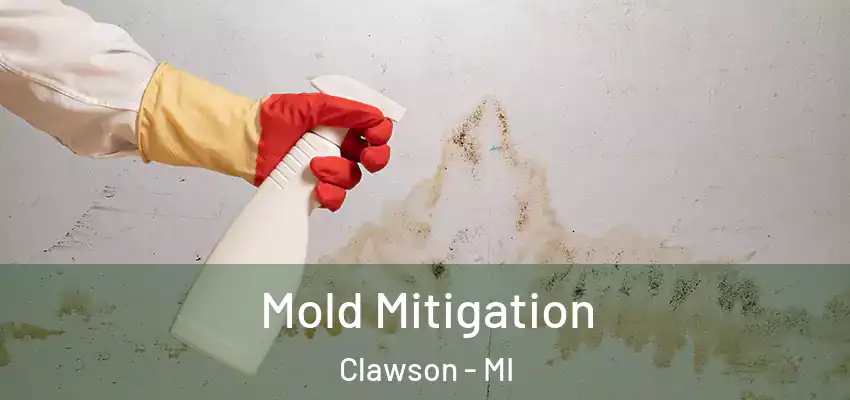  Mold Mitigation Clawson - MI