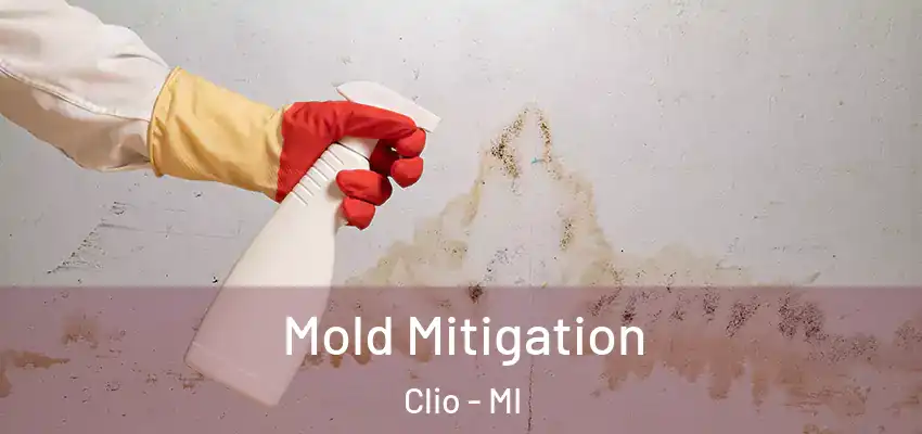 Mold Mitigation Clio - MI