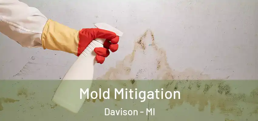  Mold Mitigation Davison - MI