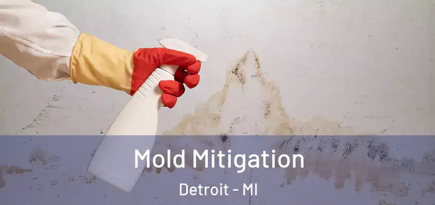  Mold Mitigation Detroit - MI