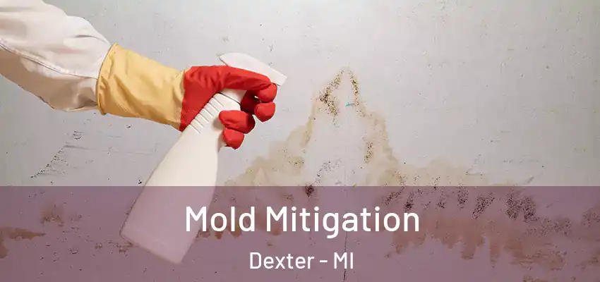  Mold Mitigation Dexter - MI