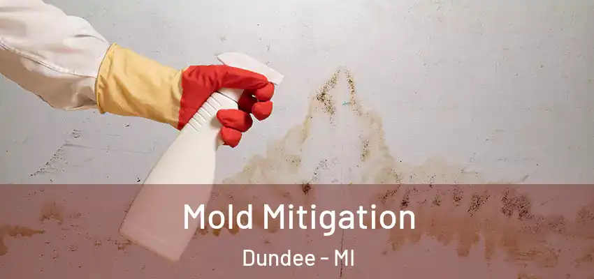  Mold Mitigation Dundee - MI
