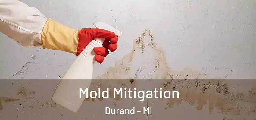  Mold Mitigation Durand - MI