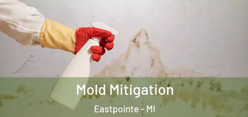  Mold Mitigation Eastpointe - MI