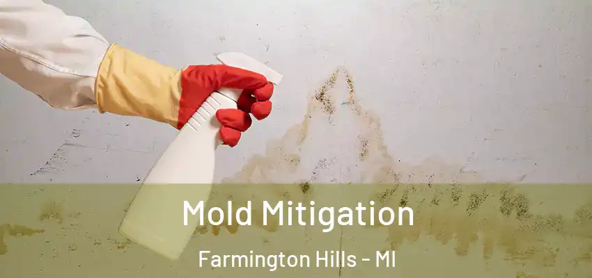  Mold Mitigation Farmington Hills - MI