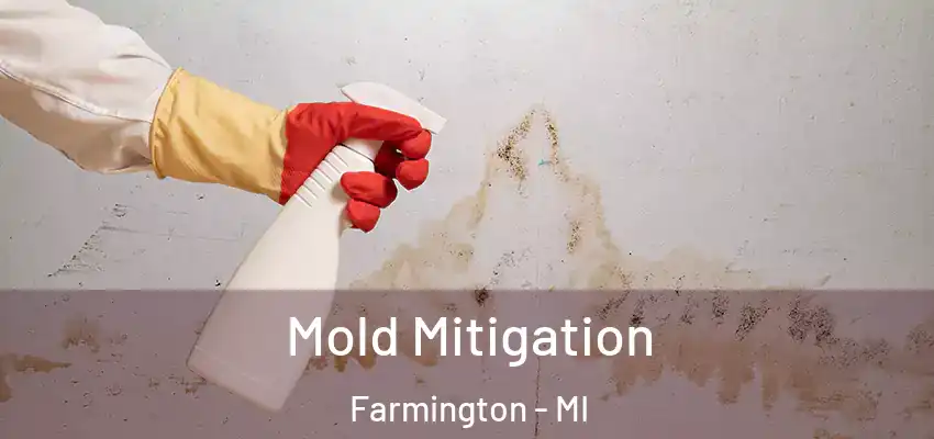  Mold Mitigation Farmington - MI