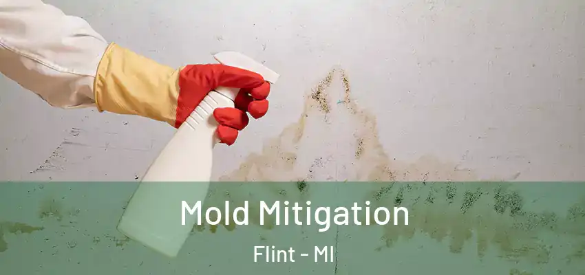  Mold Mitigation Flint - MI