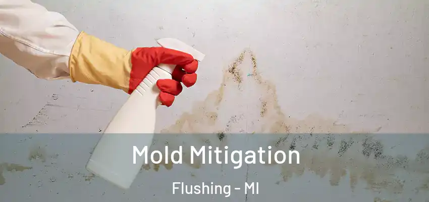  Mold Mitigation Flushing - MI