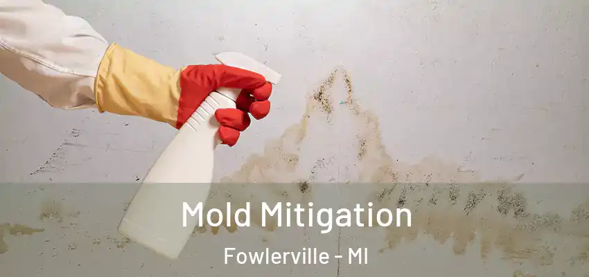  Mold Mitigation Fowlerville - MI