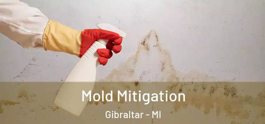  Mold Mitigation Gibraltar - MI