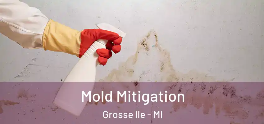 Mold Mitigation Grosse Ile - MI