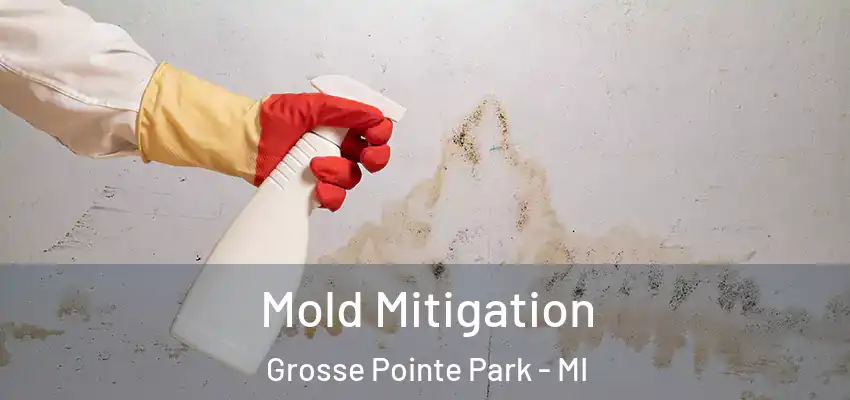  Mold Mitigation Grosse Pointe Park - MI