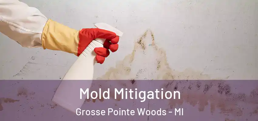  Mold Mitigation Grosse Pointe Woods - MI