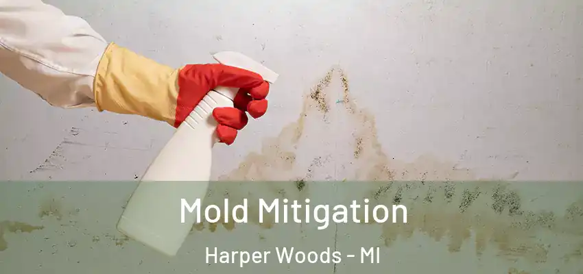  Mold Mitigation Harper Woods - MI
