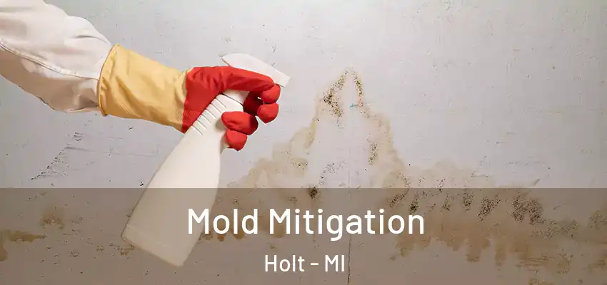 Mold Mitigation Holt - MI