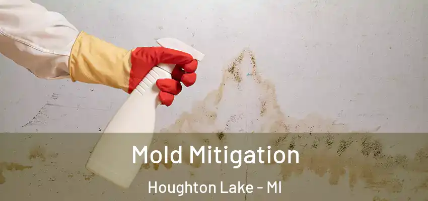  Mold Mitigation Houghton Lake - MI