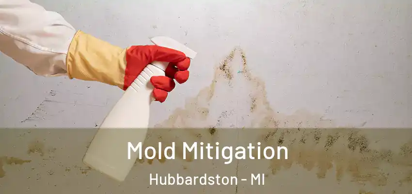  Mold Mitigation Hubbardston - MI