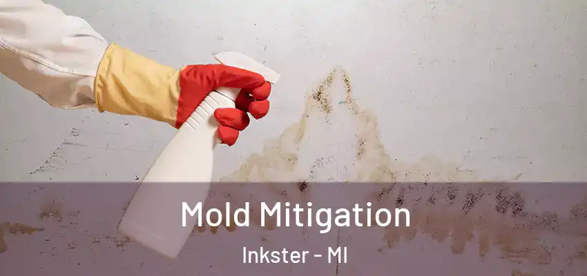 Mold Mitigation Inkster - MI