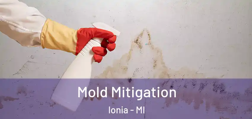 Mold Mitigation Ionia - MI