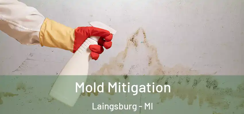  Mold Mitigation Laingsburg - MI
