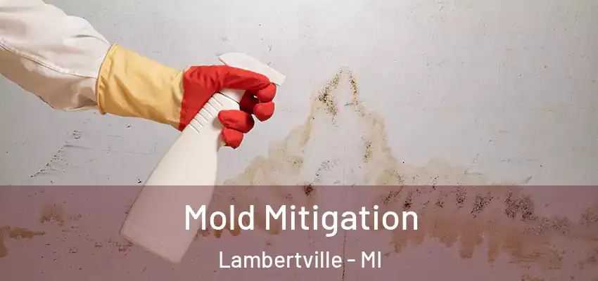  Mold Mitigation Lambertville - MI