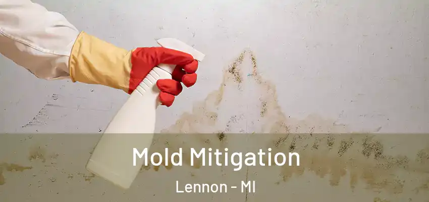 Mold Mitigation Lennon - MI