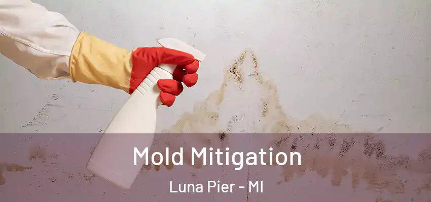  Mold Mitigation Luna Pier - MI