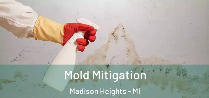  Mold Mitigation Madison Heights - MI