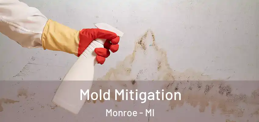  Mold Mitigation Monroe - MI