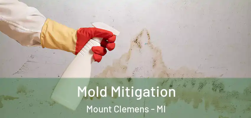  Mold Mitigation Mount Clemens - MI