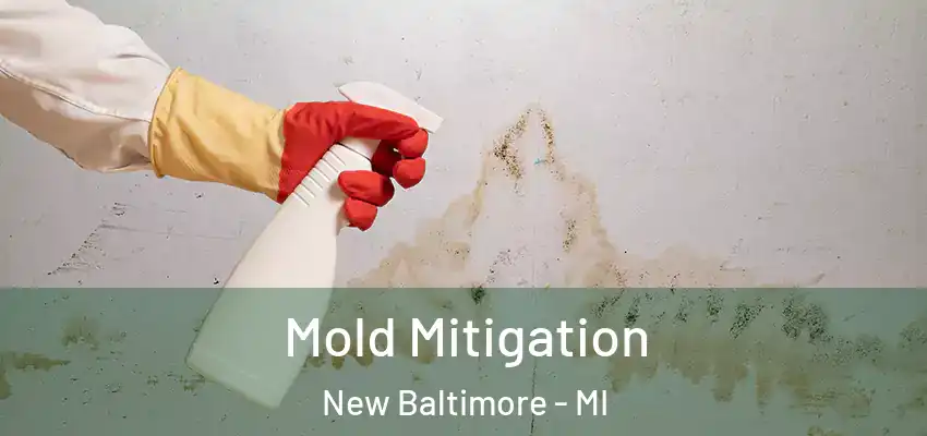  Mold Mitigation New Baltimore - MI