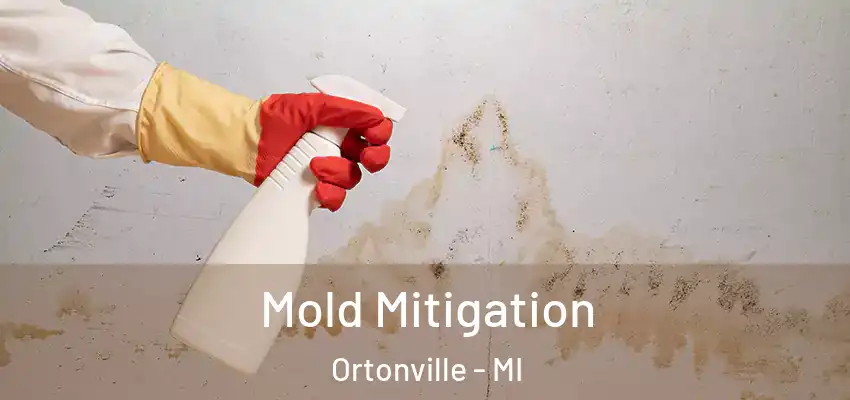 Mold Mitigation Ortonville - MI