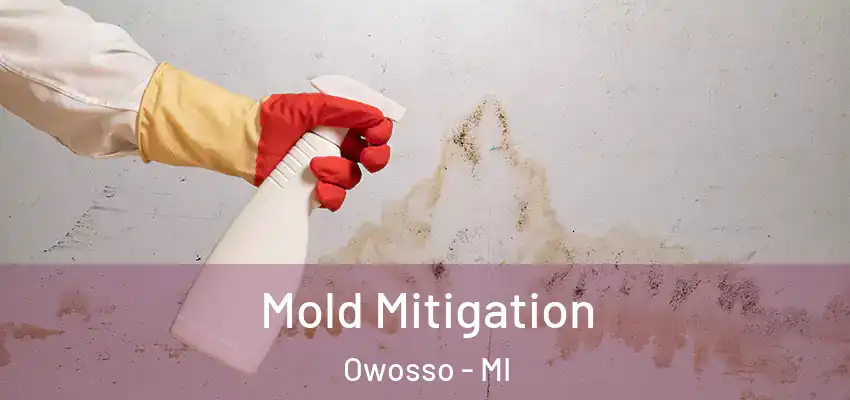 Mold Mitigation Owosso - MI