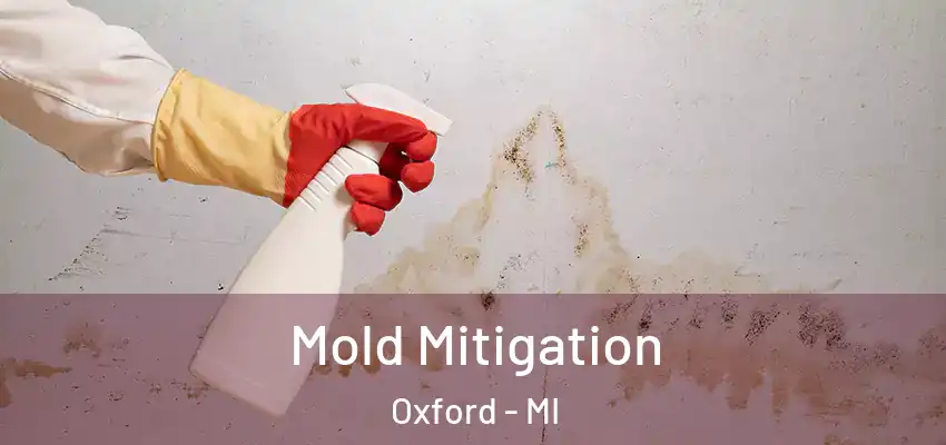Mold Mitigation Oxford - MI