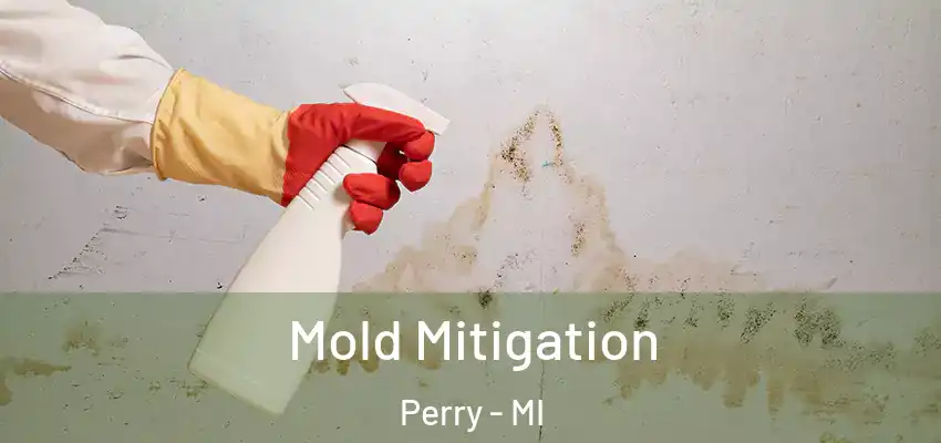 Mold Mitigation Perry - MI